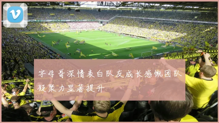 字母哥深情表白队友成长感慨团队凝聚力显著提升