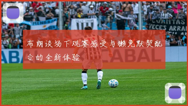 布朗谈场下观赛感受与獭兔默契配合的全新体验