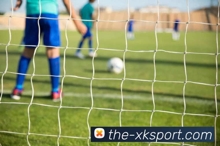 星空体育APP 高清赛事图