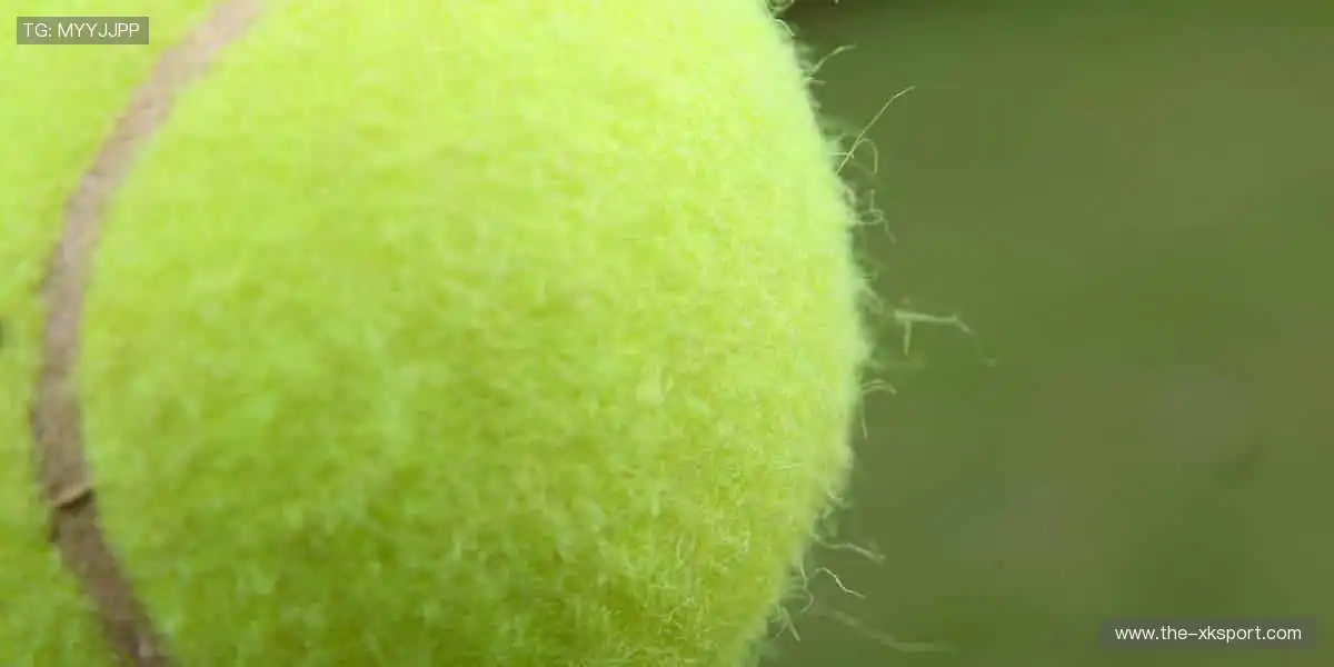 🏆见证荣耀时刻,热血永不落幕!🔥